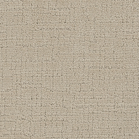 Collective carpet in Gallant 847