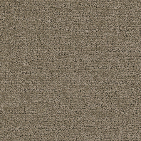 Tarkett Collective PET Carpet