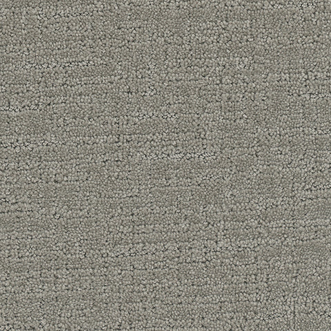 Collective carpet in Dashing 909