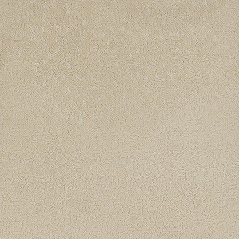 Aesthetic carpet in Whisper 121