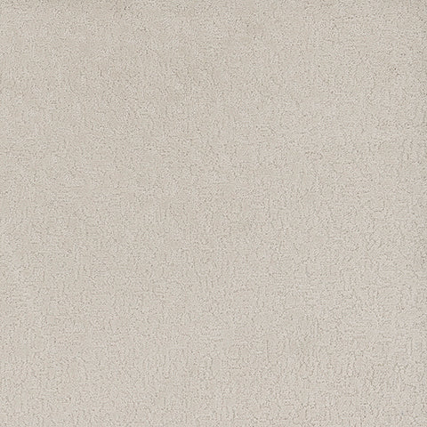 Tarkett Aesthetic PET Carpet