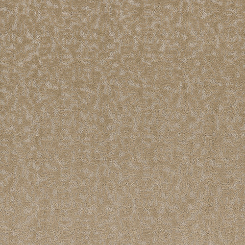 Aesthetic carpet in Mindful 822