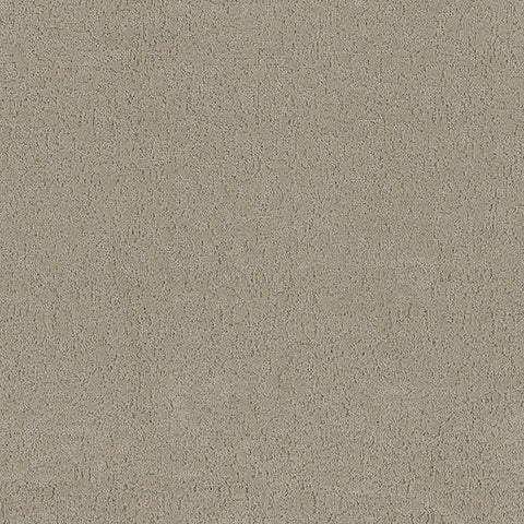 Aesthetic carpet in Dover 828