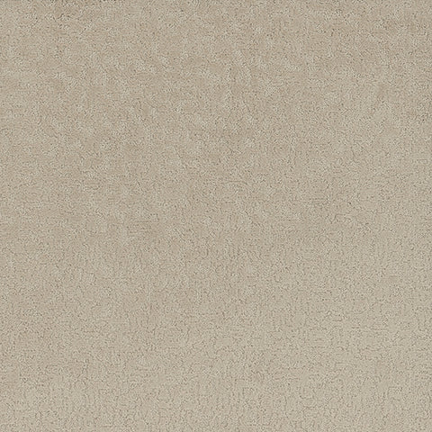 Aesthetic carpet in Faint 848