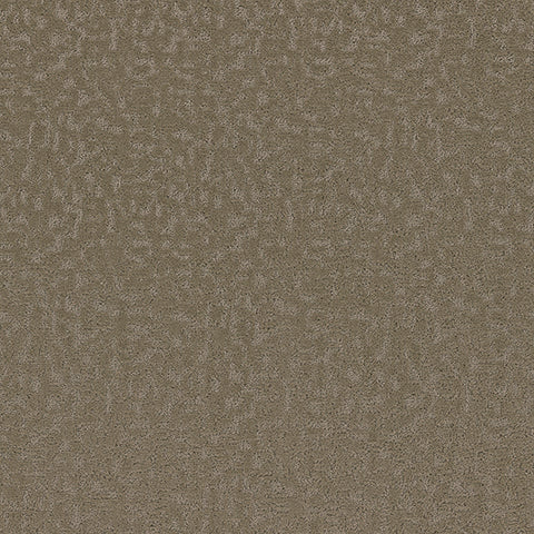 Aesthetic carpet in Tranquil 858