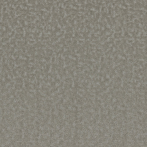 Aesthetic carpet in Poised 919