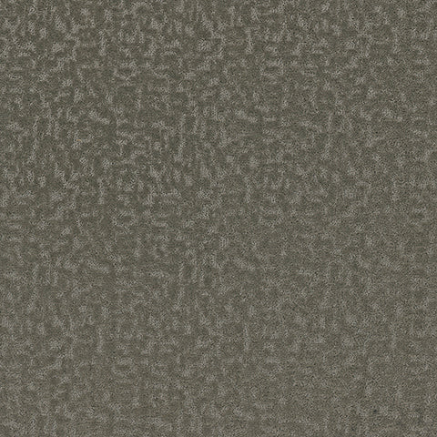 Aesthetic carpet in Serene 959