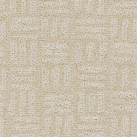 Artistry carpet in Elevated 101