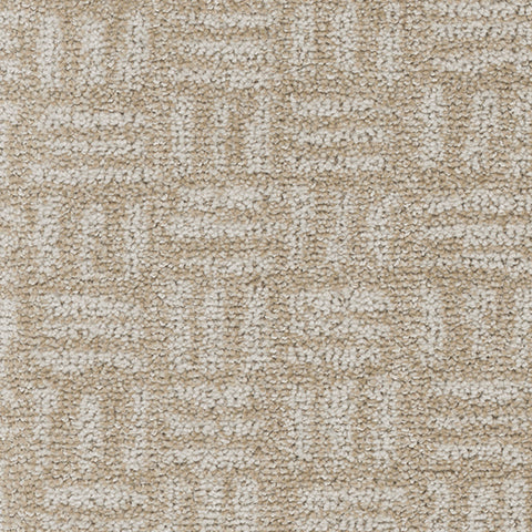 Artistry carpet in Thoughtful 718