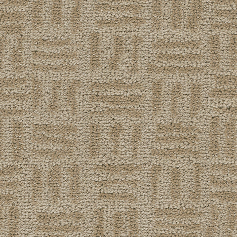 Artistry carpet in Easel 752