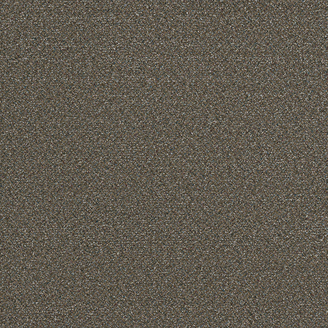 Adorn carpet in Fancy 260