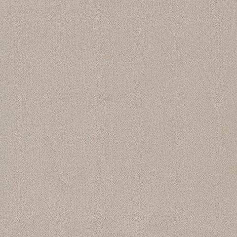 Adorn carpet in Luxurious 731