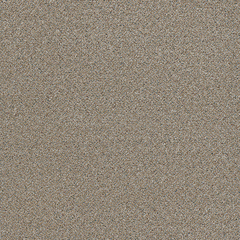 Adorn carpet in Cherish 830