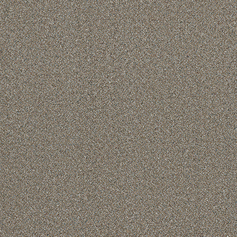 Adorn carpet in Sequined 840
