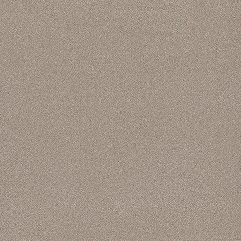 Adorn carpet in Etched 859