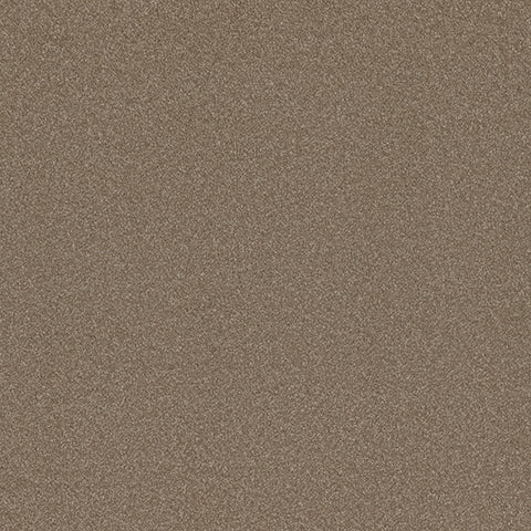 Adorn carpet in Bejewel 869