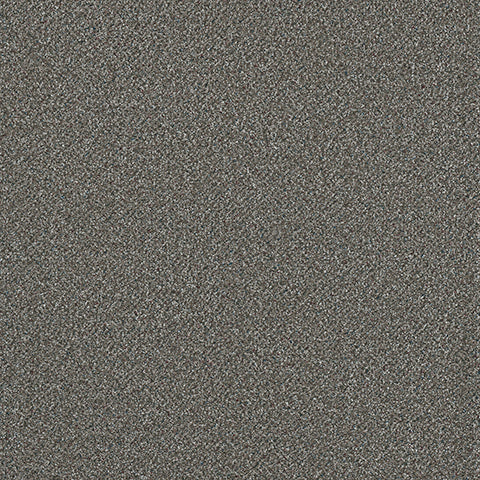 Adorn carpet in Extravagant 970