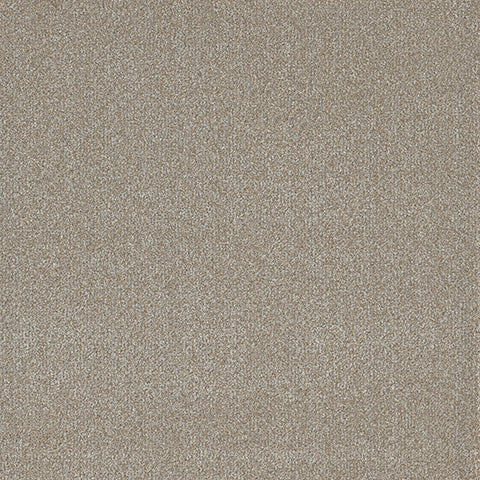 Embellish carpet in Inscribe 829
