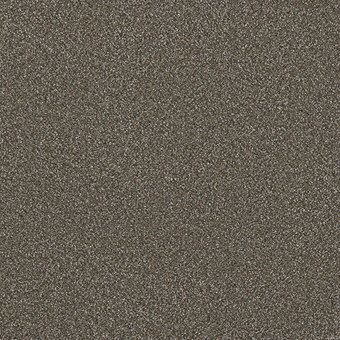 Lost Jewel carpet in Tiger's Eye 260