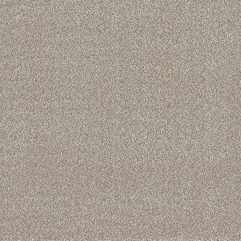 Lost Jewel carpet in Diamond 727