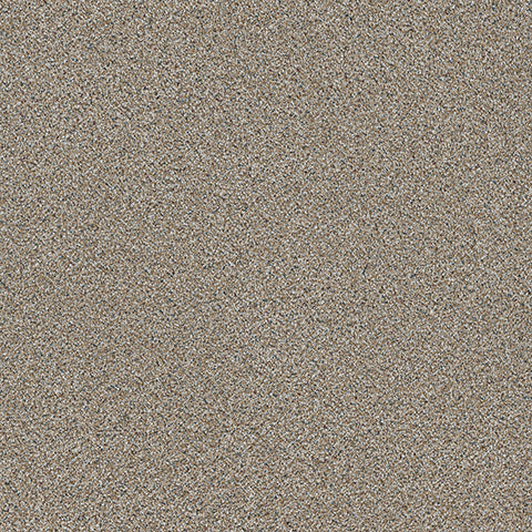 Lost Jewel carpet in Onyx 830