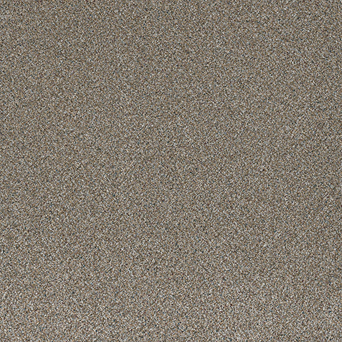 Lost Jewel carpet in Bronzite 840
