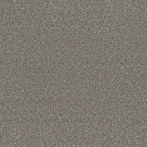 Lost Jewel carpet in Basalt 850