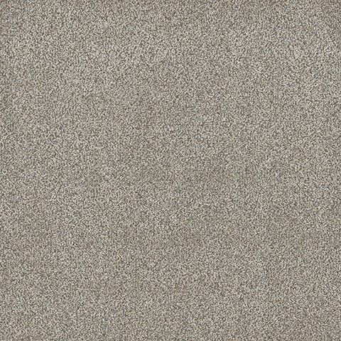 Lost Jewel carpet in Pearl 857