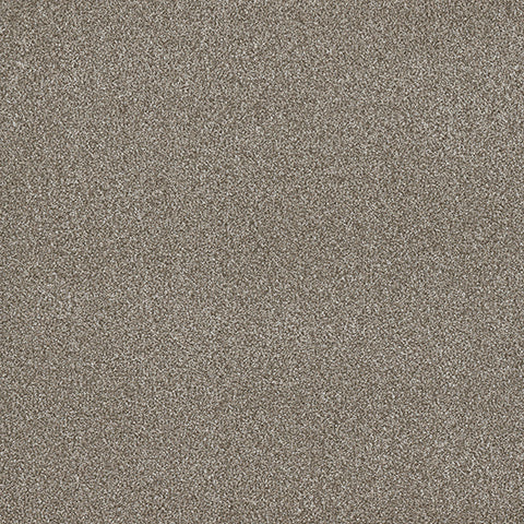 Lost Jewel carpet in Precious 868