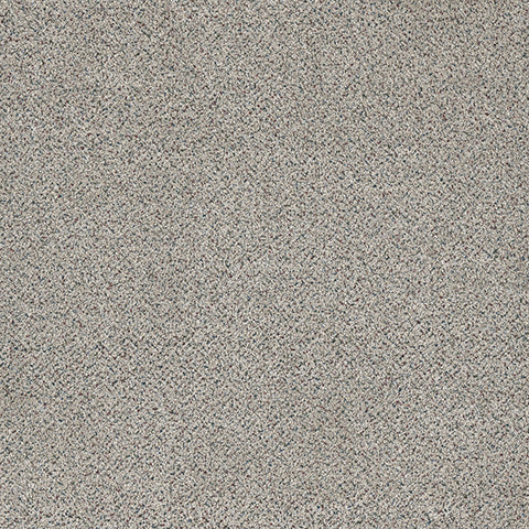 Lost Jewel carpet in Smokey Quartz 920