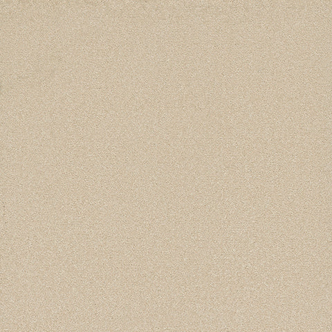 Tarkett Eterna PET Carpet