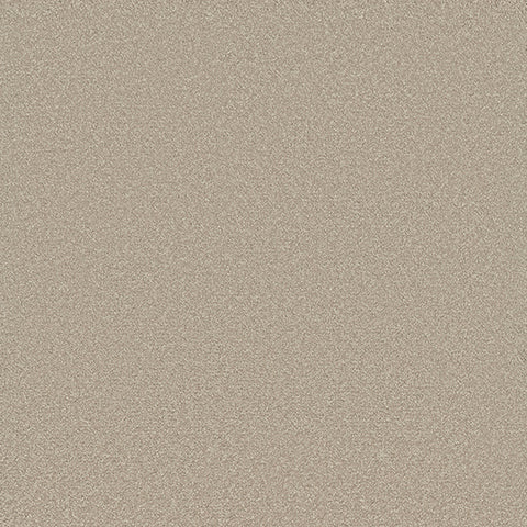 Eterna carpet in Enduring 829