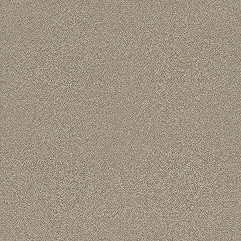 Eterna carpet in Devoted 847