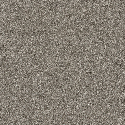 Eterna carpet in Captivating 857