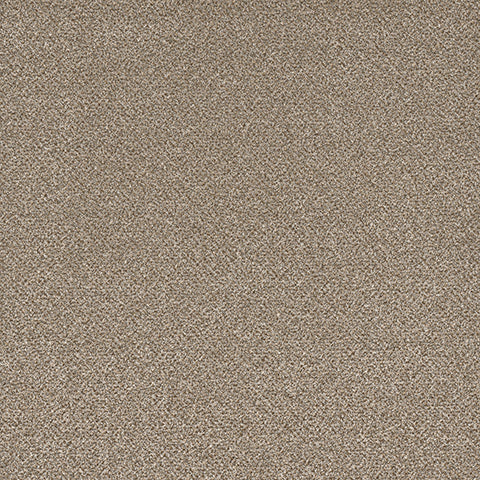 Eterna carpet in Chateau 859