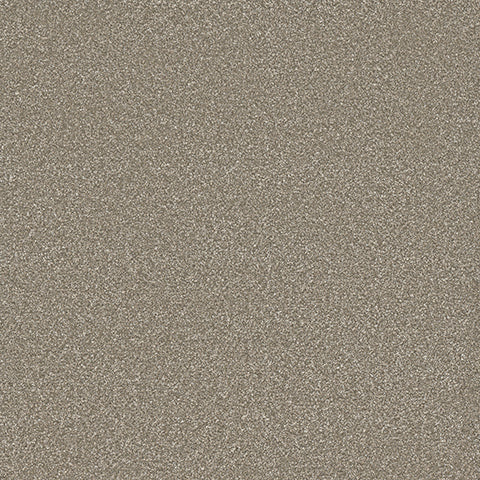 Eterna carpet in Vineyard 868