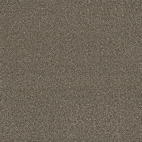 Eterna carpet in Faithful 878