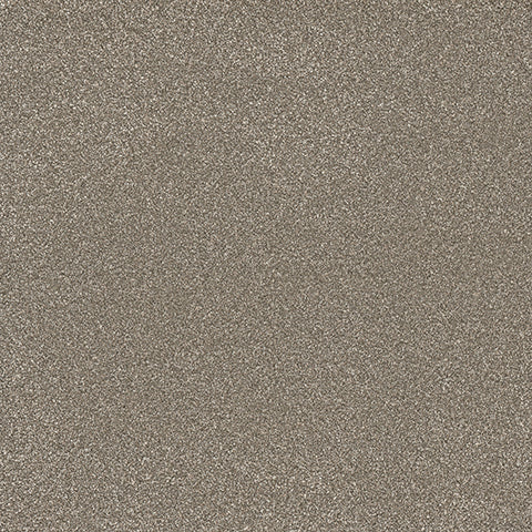 Eterna carpet in Gallant 888