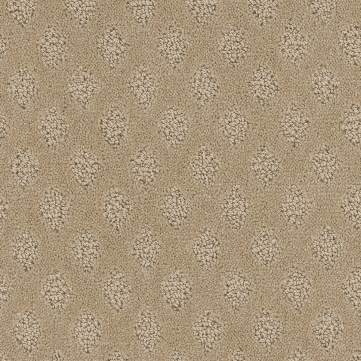 Bar Harbor carpet in Antique Beige 329