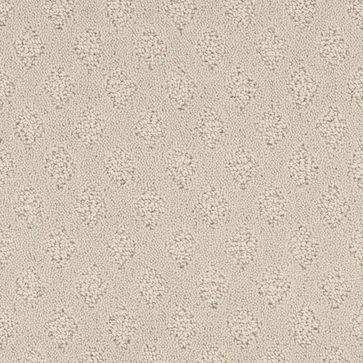 Bar Harbor carpet in Coconut 109