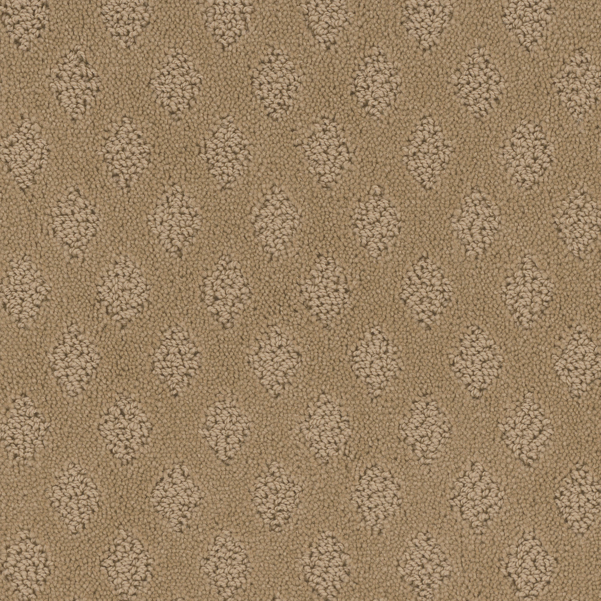 Bar Harbor carpet in River Rock 305