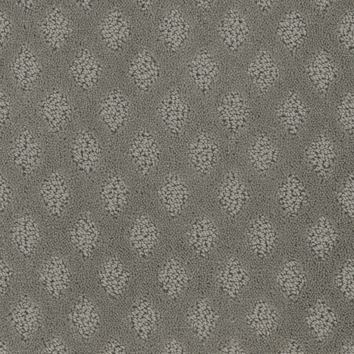Bar Harbor carpet in Silver Lining 825