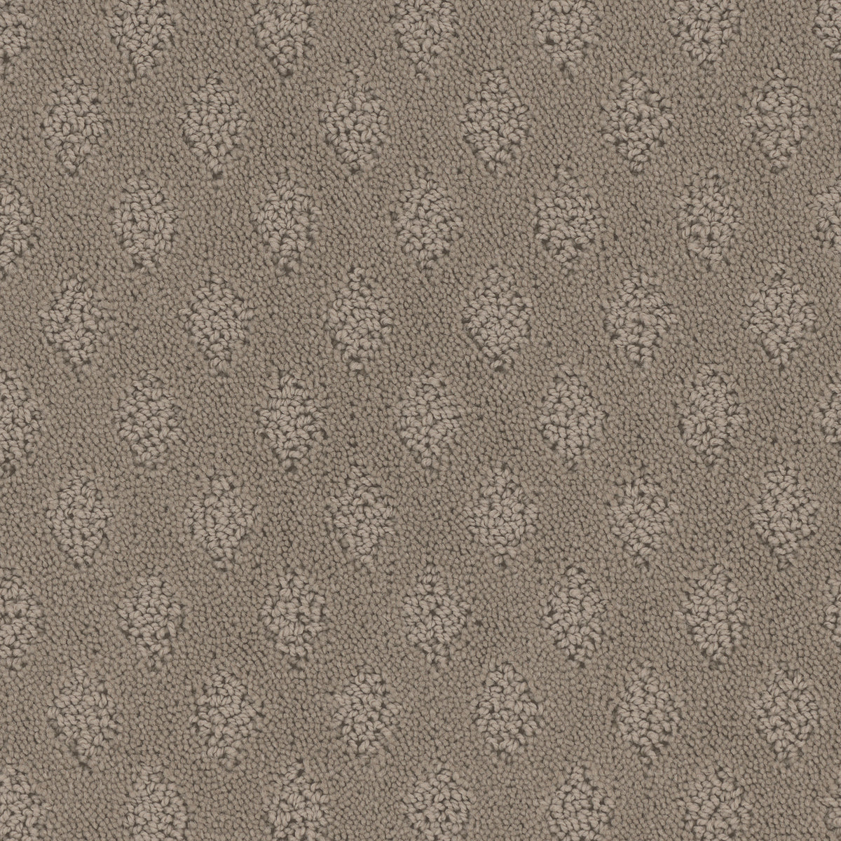 Bar Harbor carpet in Travertine 725