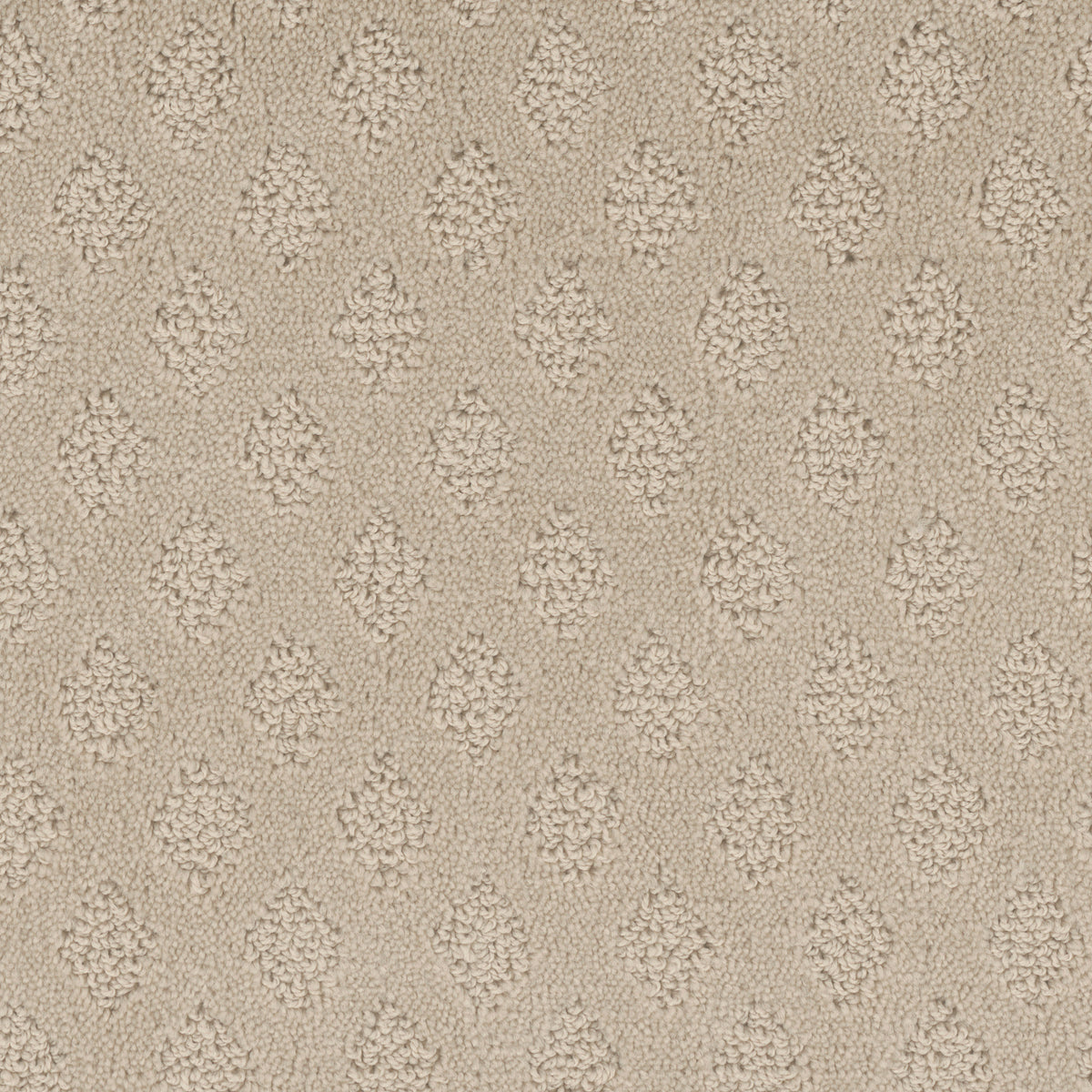 Bar Harbor carpet in Vanilla 103