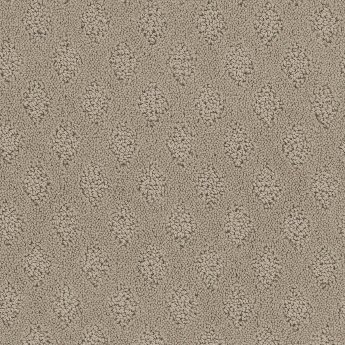 Bar Harbor carpet in Weathered 736
