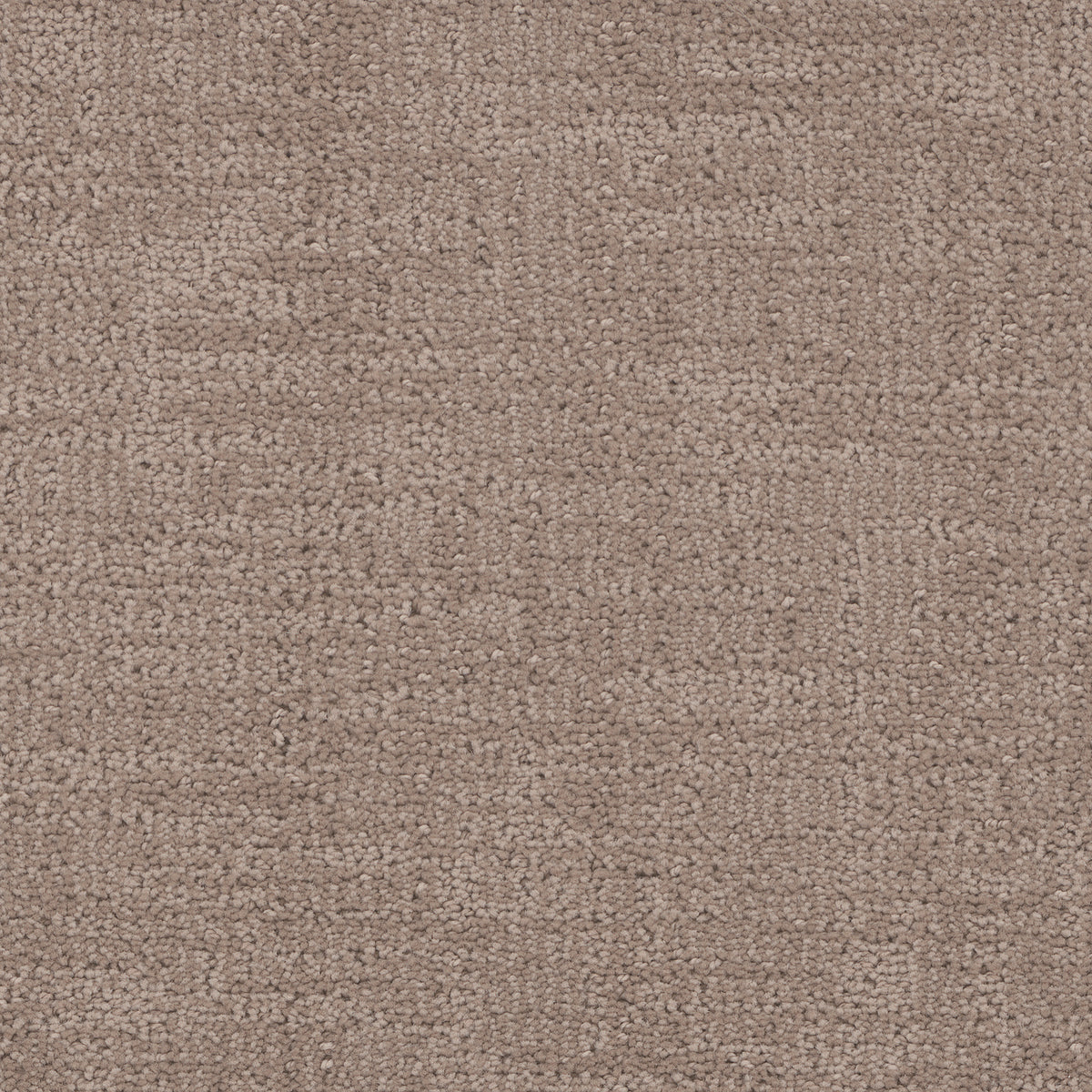 Cadence carpet in Abalone 1909