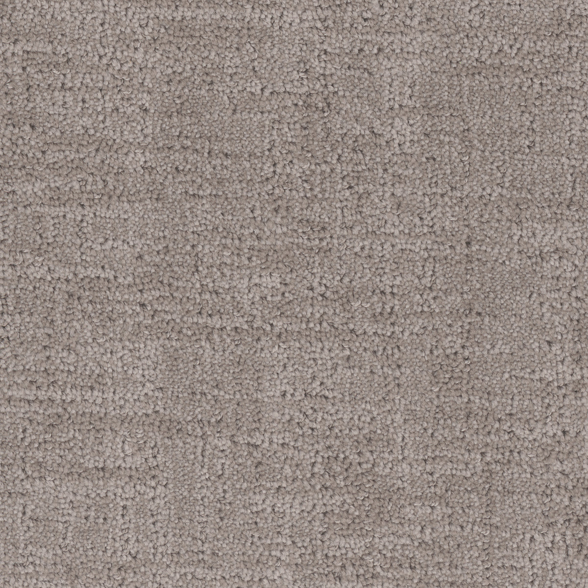 Cadence carpet in Granite 3538