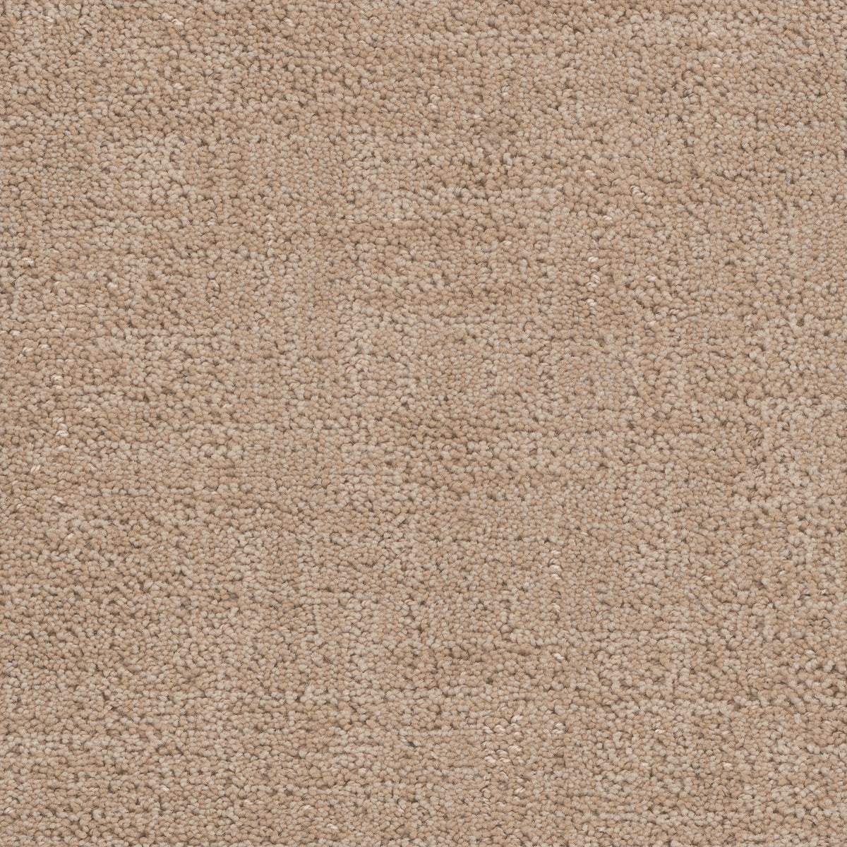 Cadence carpet in Haylo 4171