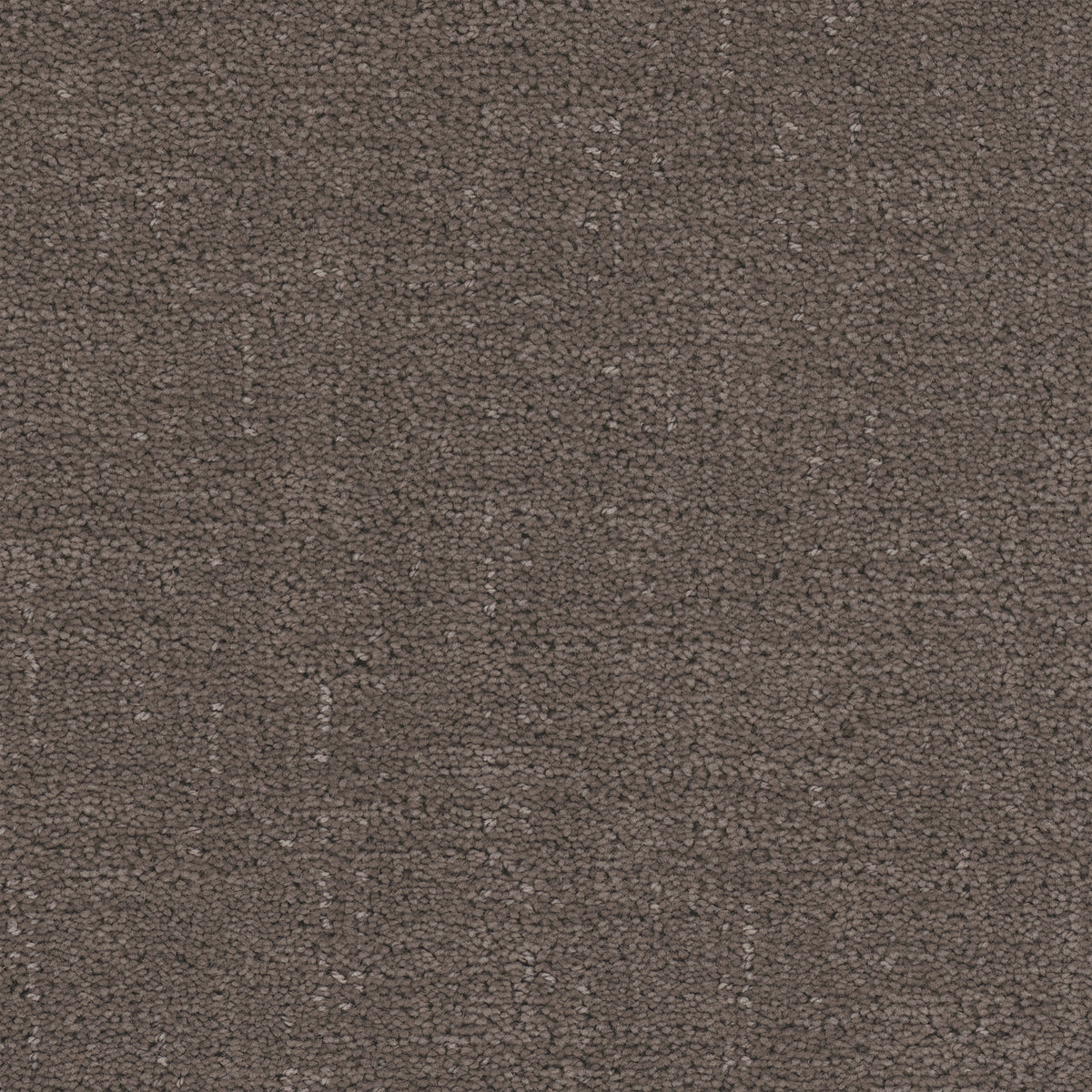 Cadence carpet in Mink 1907
