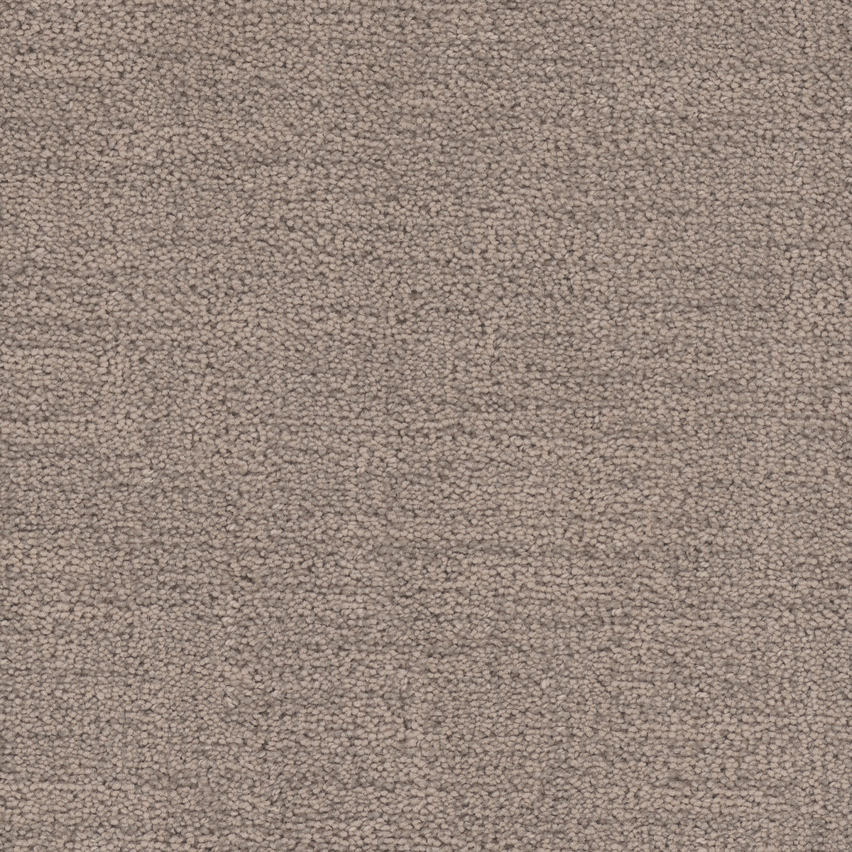 Cadence carpet in Parchment 1904